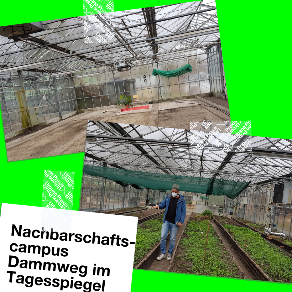Two pictures of the greenhouses on the Dammweg neighborhood campus