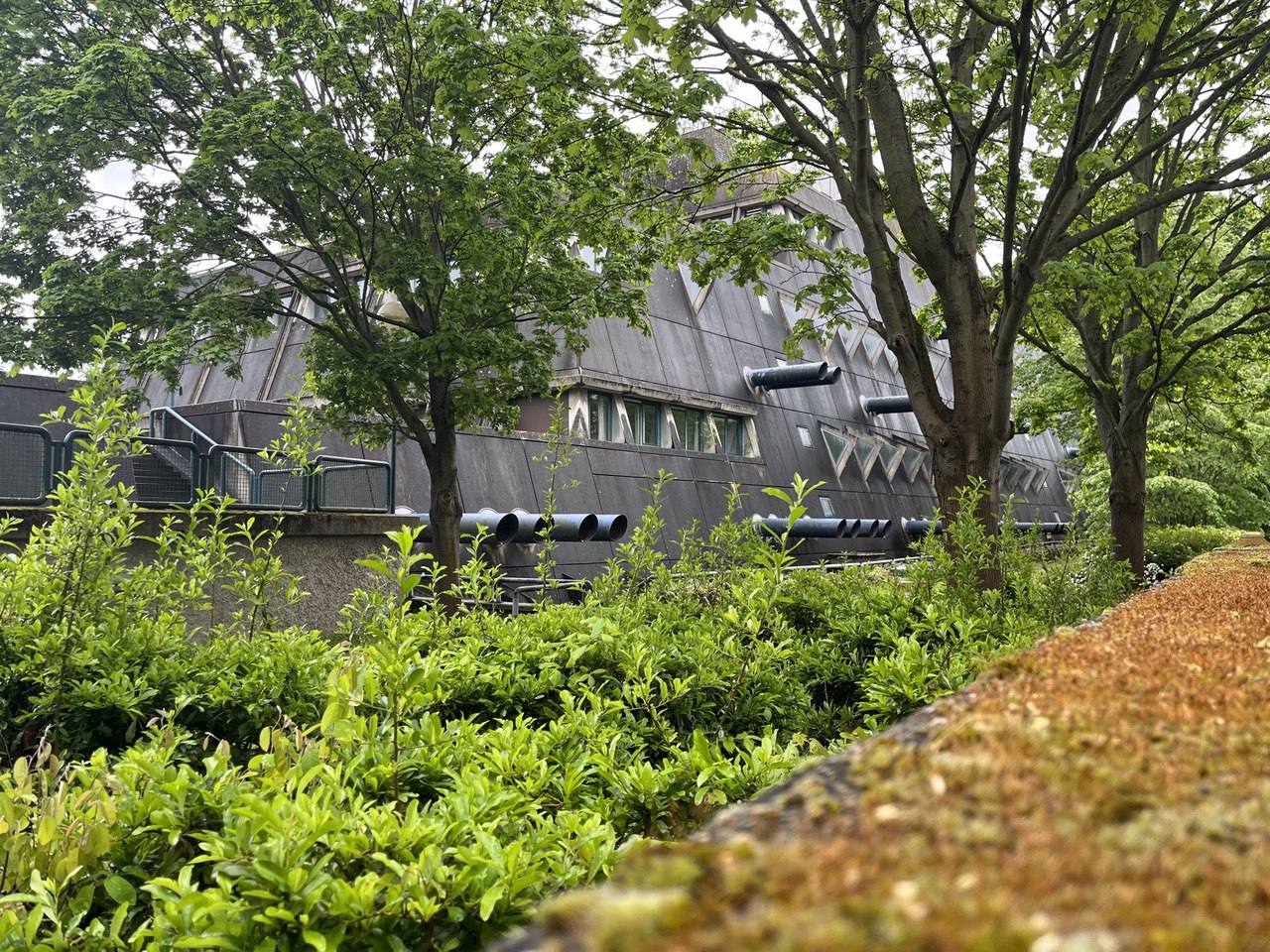 Bild vom Mäusebunker seitliche Ansicht mit Bäumen im Vordergrund.